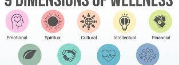 Top Benefits of Holistic Wellness for Everyday Life.